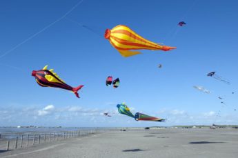 Drachensteigen am Strand von St. Peter-Ording bei der Bude54