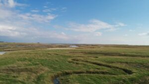 Wide green salt marshes in St. Peter-Ording under a blue summer sky with small watercourses (Prielen).
