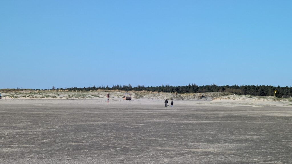 Weite Sandfläche am Strand von St. Peter-Ording mit zwei Personen und einem Hund in der Ferne vor bewachsenen Dünen und Kiefernwald.